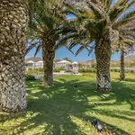 Bellonia Naousa (Paros)