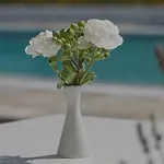 Aparthotel Bellonia Naousa (Paros)