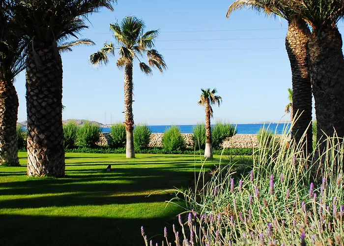 Lejlighedshotel Bellonia Naousa