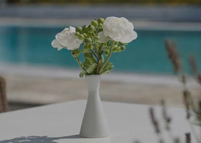 Lejlighedshotel Bellonia Naousa