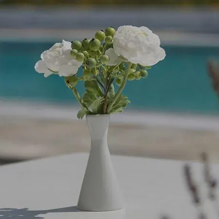 Appart hôtel Bellonia Náoussa