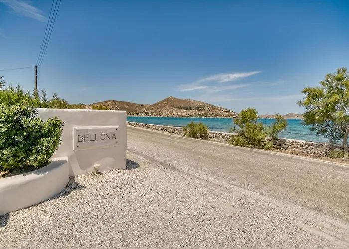 Bellonia