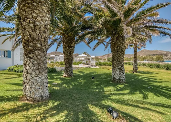 Bellonia 나오우사