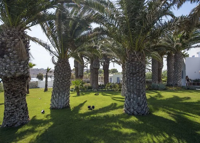 Bellonia Νάουσα